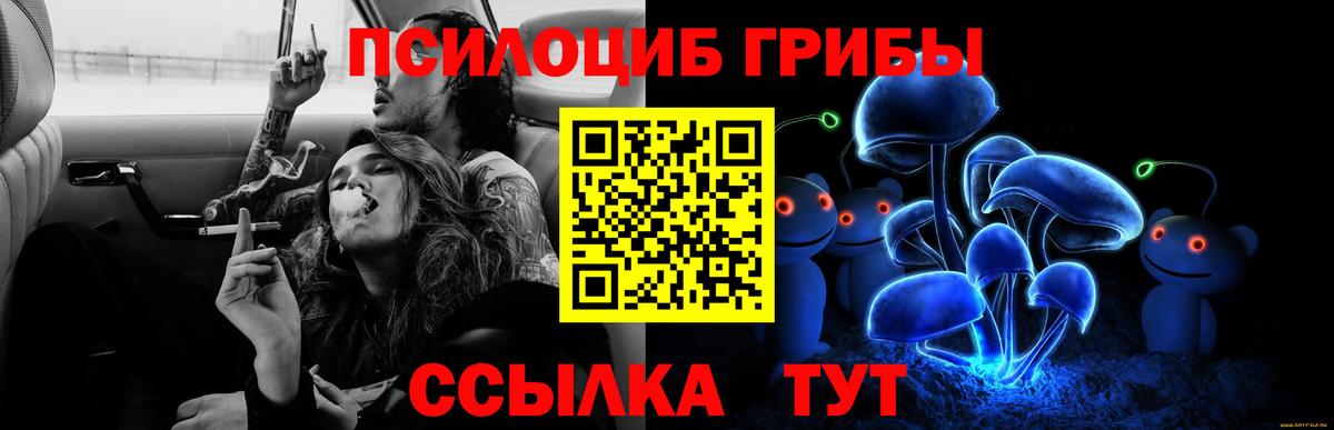 Псилоцибиновые грибы Psilocybine cubensis Нижневартовск